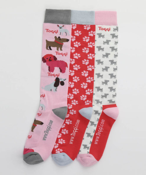 Toggi Ladies Riding Socks 3 Pack Talfourd Spaniel Dog Design Red/White/Blue NEW 